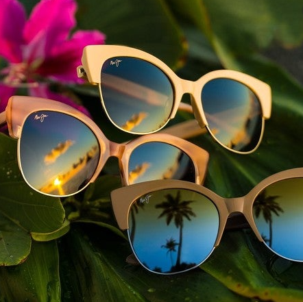 Photo of pairs of sunglasses